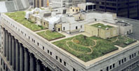 Photo of the Chicago City Hall rooftop garden